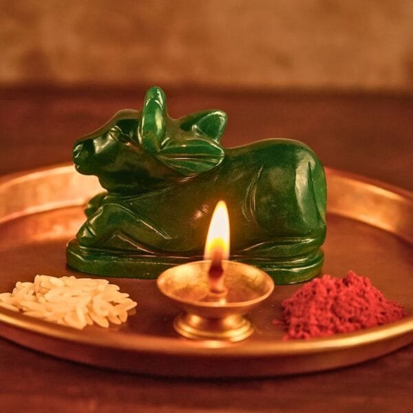 green nandi