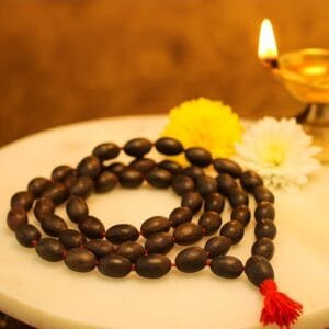 Kamal Gatta Mala
