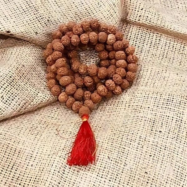 7 mukhi rudraksha mala