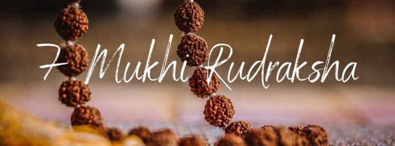 original 7 mukhi rudraksha price