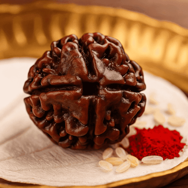 single beads rudraksha
