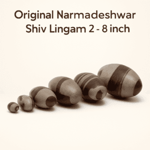 Narmadeshwar Shiva Lingam