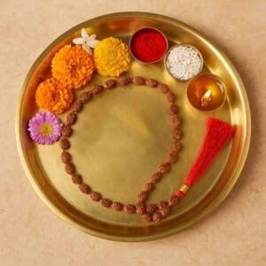 3 mukhi rudraksha mala