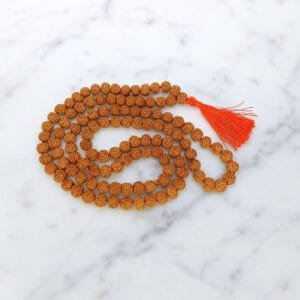 6 mukhi rudraksha mala